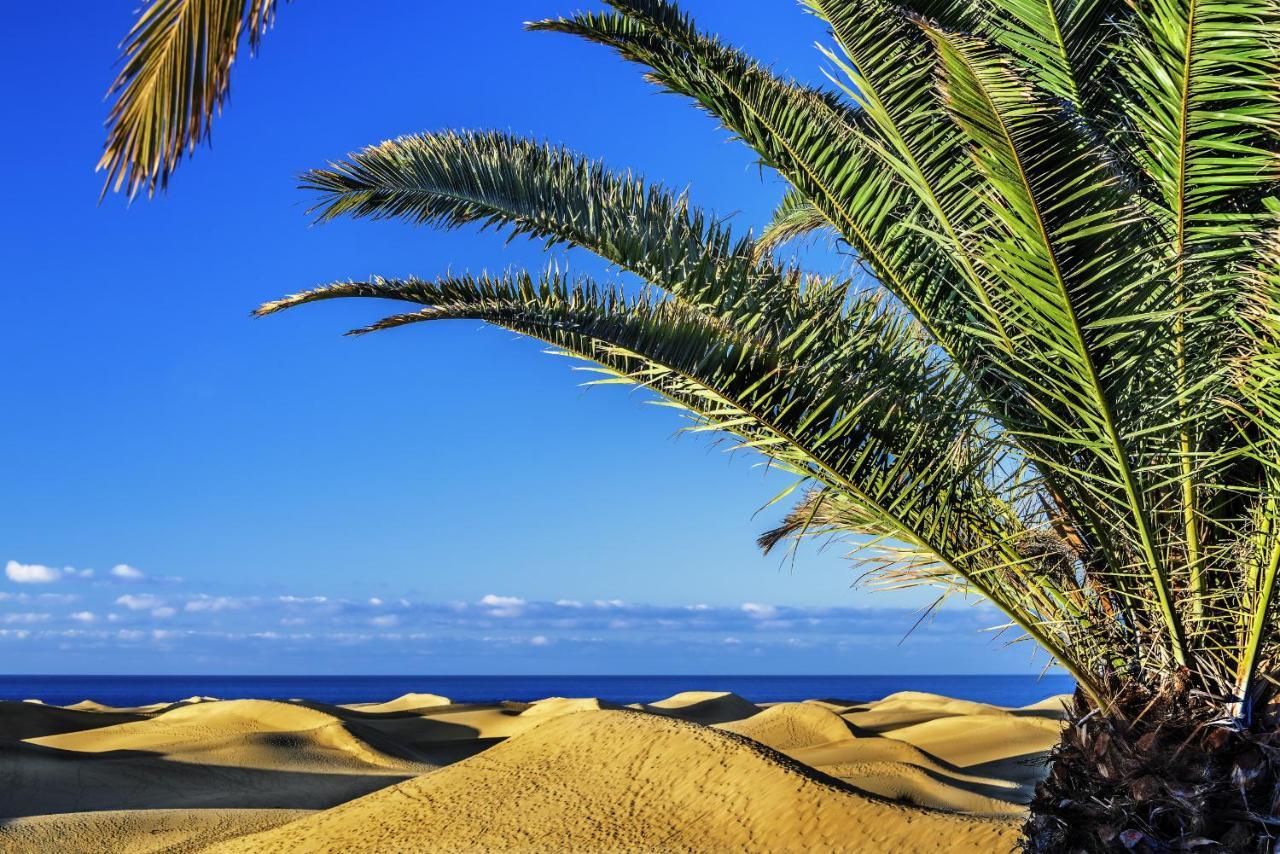 Las Adelfas South Beach 5 By Canariasgetaway San Bartolomé 외부 사진